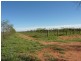 LOT 2 Wilcannia Road, Menindee NSW 2879