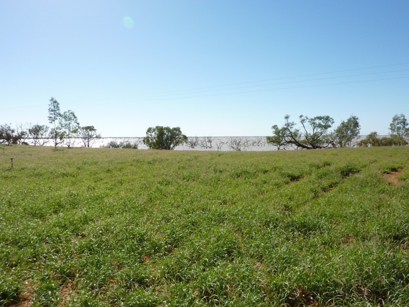 LOT 2 Wilcannia Road, Menindee NSW 2879