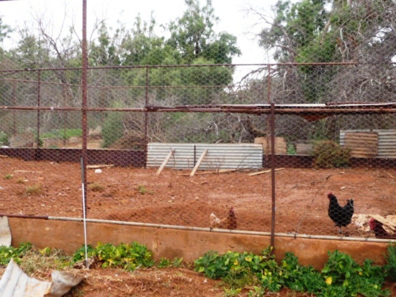 Lot 41 Stephens Creek, Broken Hill NSW 2880