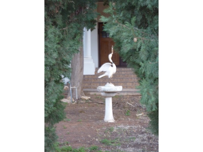 536 Williams Street, Broken Hill NSW 2880