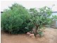176 Buck Street, Broken Hill NSW 2880