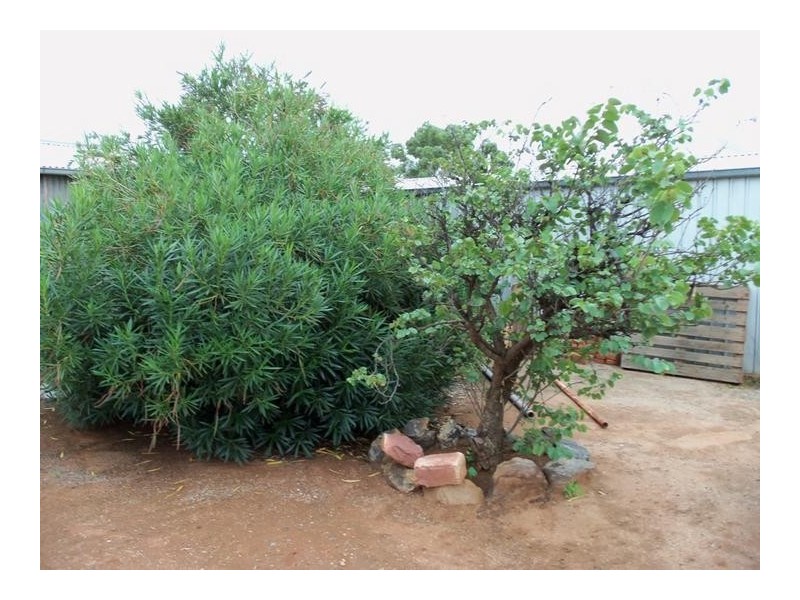 176 Buck Street, Broken Hill NSW 2880