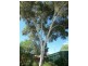 393 Bromide Street, Broken Hill NSW 2880