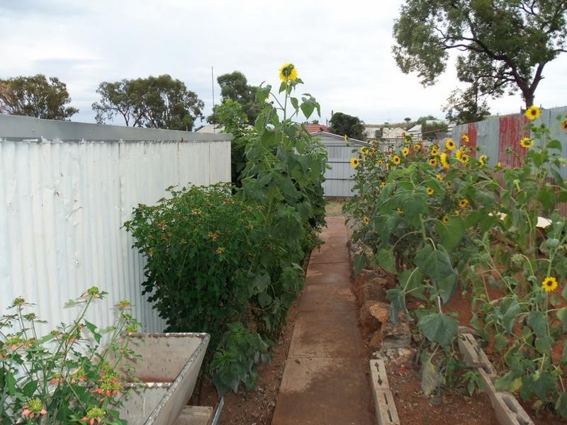196 Carbon Street, Broken Hill NSW 2880