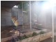 408 Morgan Lane, Broken Hill NSW 2880