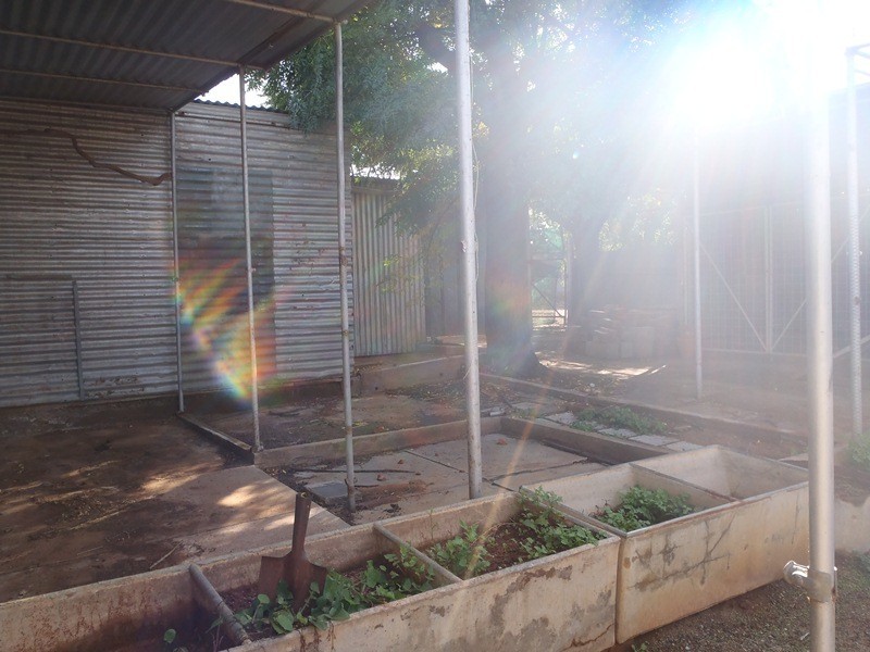 408 Morgan Lane, Broken Hill NSW 2880