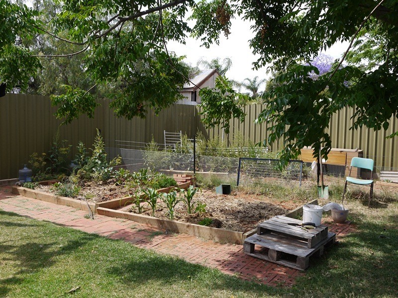 50 William Lane, Broken Hill NSW 2880