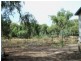 Lot 105 Irrigation Road, Menindee NSW 2879