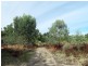 Lot 105 Irrigation Road, Menindee NSW 2879