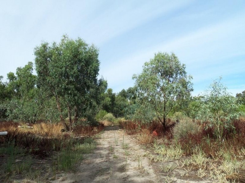 Lot 105 Irrigation Road, Menindee NSW 2879