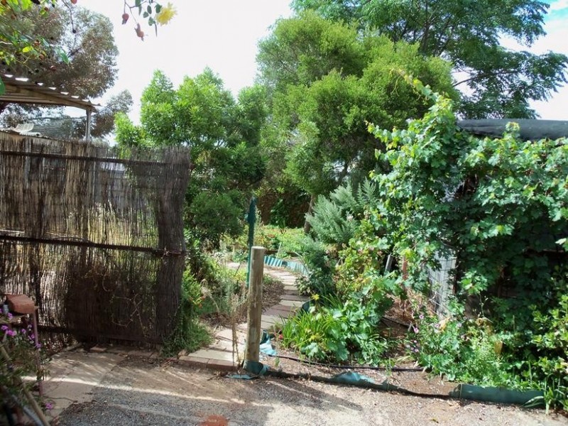 6 Casuarina Avenue, Broken Hill NSW 2880