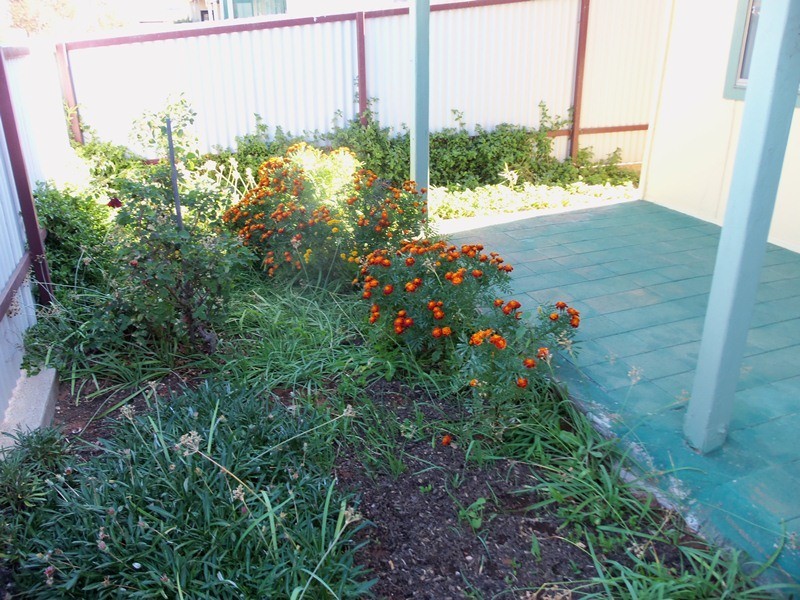 500 Blende Street, Broken Hill NSW 2880