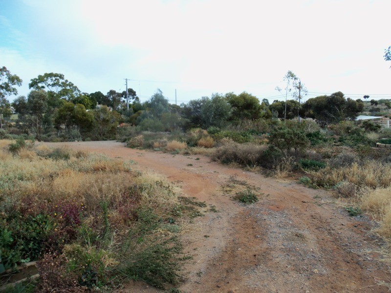 121 Brown Street, Broken Hill NSW 2880