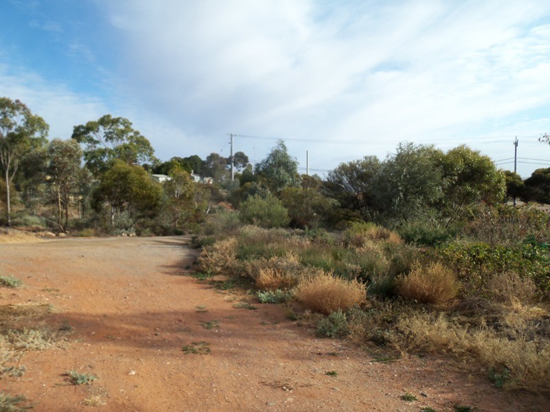 121 Brown Street, Broken Hill NSW 2880