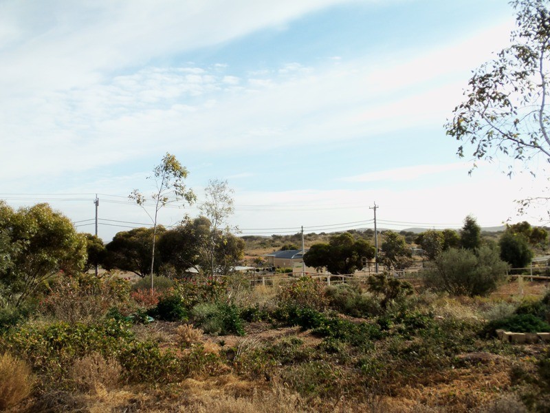 121 Brown Street, Broken Hill NSW 2880