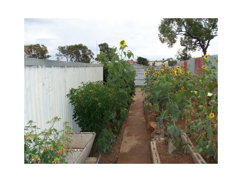 196 Carbon St, Broken Hill NSW 2880
