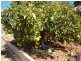 148 Buck Street, Broken Hill NSW 2880