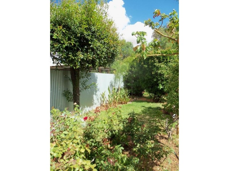 336 Williams Lane, Broken Hill NSW 2880