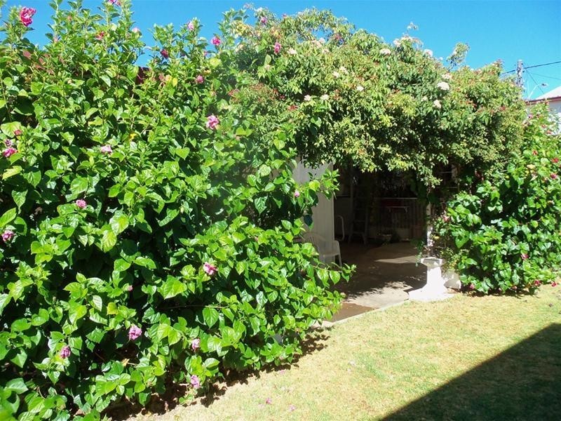 479 Chapple Lane, Broken Hill NSW 2880