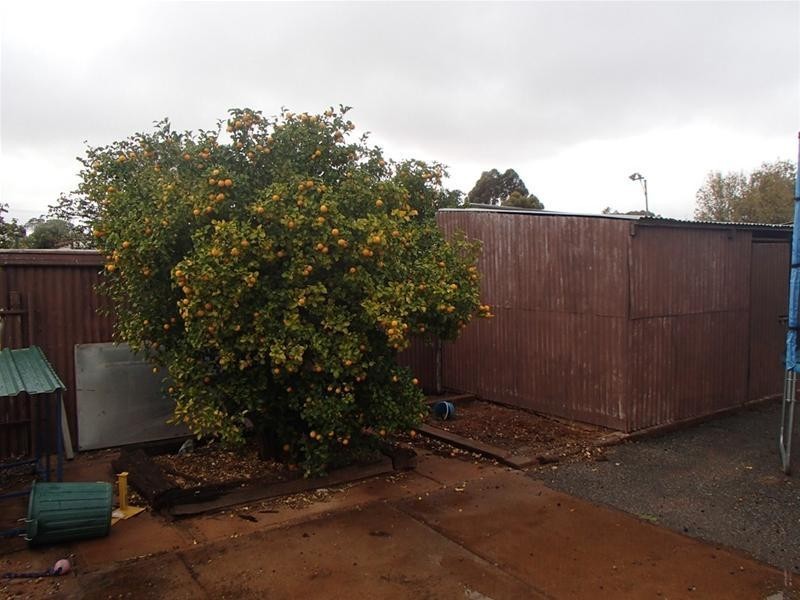 323 Wandoo Street, Broken Hill NSW 2880