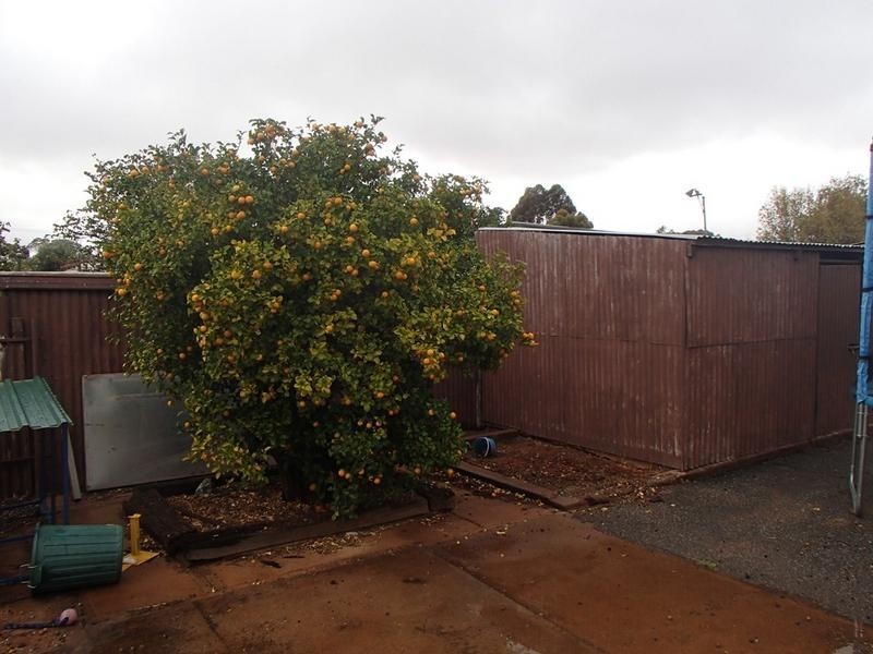 323 Wandoo Street, Broken Hill NSW 2880