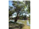 28 Pooncarrie Road, Menindee NSW 2879
