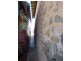 329 Oxide Street, Broken Hill NSW 2880