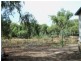 LOT 105 Irrigation Road, Menindee NSW 2879