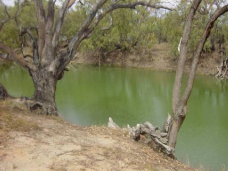 Little Menindee CREEK, Menindee NSW 2879