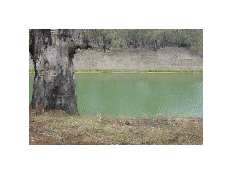 Little Menindee CREEK, Menindee NSW 2879