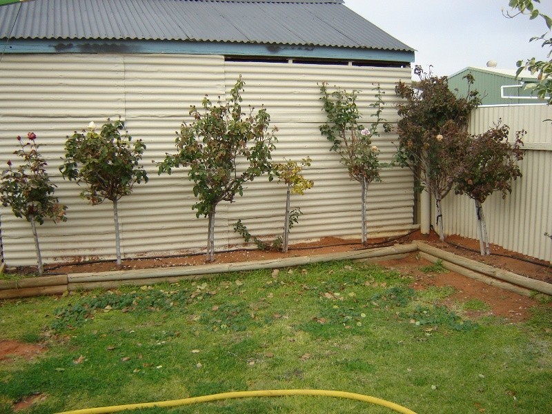 183 Pell Street, Broken Hill NSW 2880