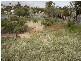 553 Chettle Street, Broken Hill NSW 2880