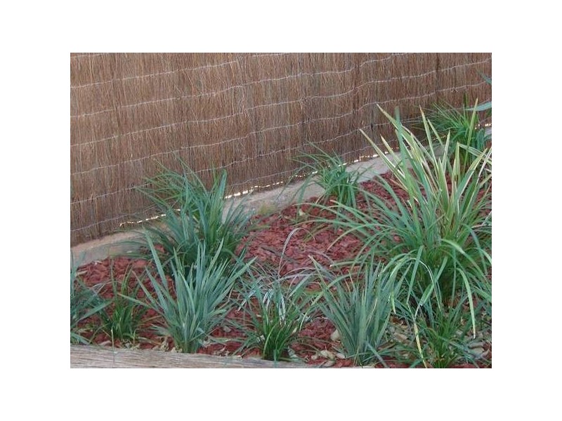 619 Beryl Street, Broken Hill NSW 2880