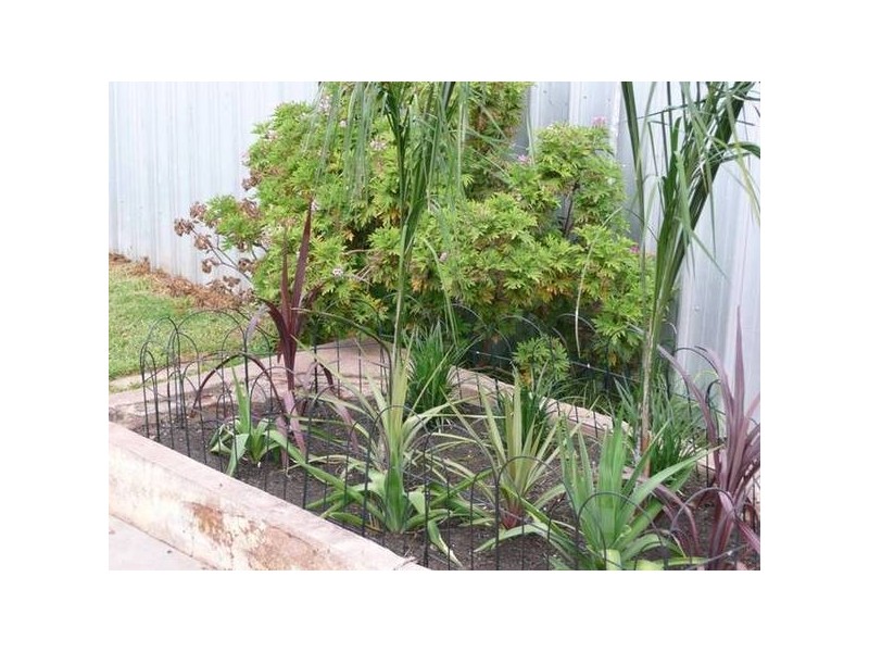 173 William Street, Broken Hill NSW 2880