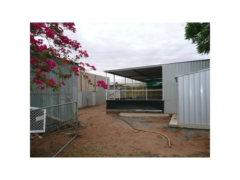 113 Ryan Street, Broken Hill NSW 2880