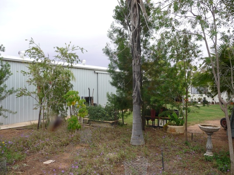 38 Lakeview Avenue, Menindee NSW 2879