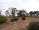 38 Lakeview Avenue, Menindee NSW 2879