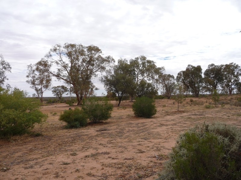 38 Lakeview Avenue, Menindee NSW 2879