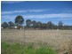 Llandilo NSW 2747