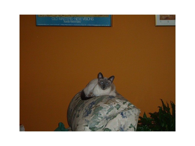 1 Rooke Crt, Kellyville NSW 2155