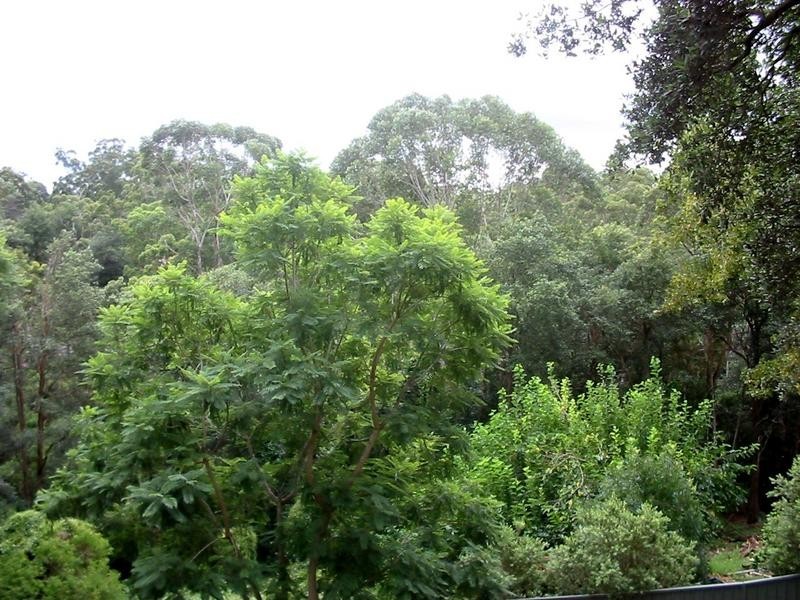 Baulkham Hills NSW 2153