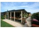 Bonny Hills NSW 2445