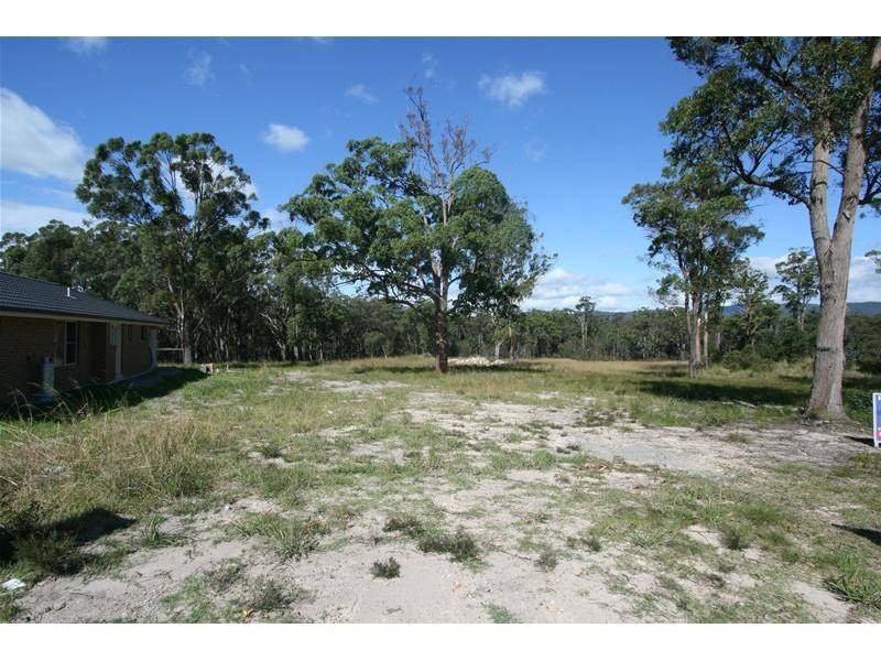 Kendall NSW 2439