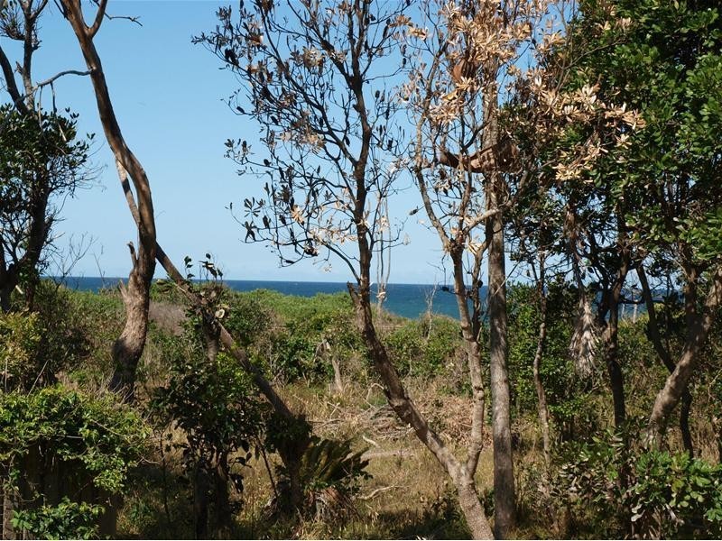 Lake Cathie NSW 2445