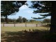 20 Chepana Street, Lake Cathie NSW 2445