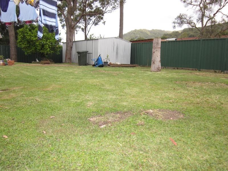 91 Sirius Drive, Lakewood NSW 2443