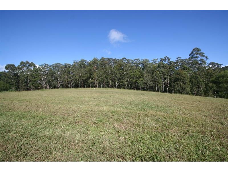 Kendall NSW 2439