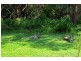 16 Alexander Close, Dunbogan NSW 2443