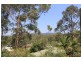 15 Ellendale Crescent, Kendall NSW 2439