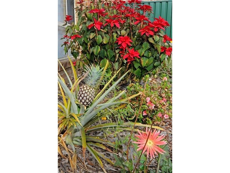 69 Koonwarra Street, Laurieton NSW 2443